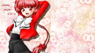【貧乳】 shining knight RED 【d_114664】