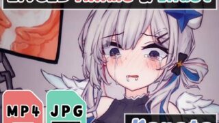 【貧乳】 【2Dアニメ】赤ちゃん汁を子宮に強●注入、孕めッ！子ども産んでッ！妊娠してくれ〜！ 【d_252191】