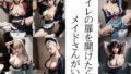 【貧乳】 トイレの扉を開けたらメイドさんがいた 【d_346113】