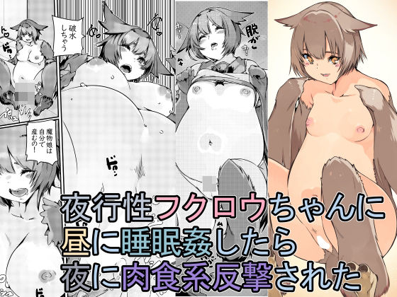 【貧乳】 夜行性フクロウちゃんに昼に睡眠姦したら夜に肉食系反撃された 【d_394423】
