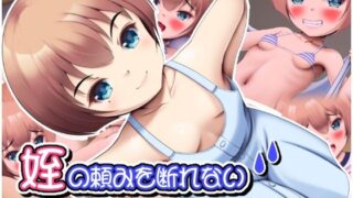 【貧乳】 姪の頼みを断れない 【d_405745】