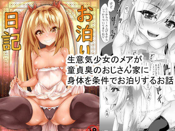 【貧乳】 お泊り日記 【d_444453】