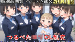【貧乳】 【新作価格】【豪華特典あり】つるぺたOLロリハーレム乱交 新人研修教育  おもてなし性接待編【500個】 【d_608116】