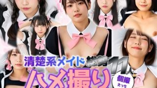 【貧乳】 【動画】清楚系メイド11人と密着ハメ撮り｜ぷるぷる胸＆本気腰 【d_614541】