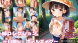 【貧乳】 妹コレクション〜ラン〇セルエッチ2〜 【d_621258】