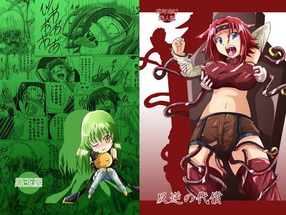 【貧乳】 反逆の代償 【d_026836】