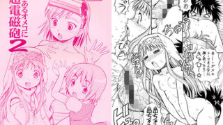 【貧乳】 とあるオメコに超電磁砲2 【d_134914】