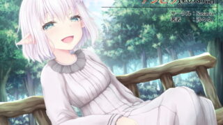 【貧乳】 エルフにひどいことしたいチンピラ達のお話 【d_200949】