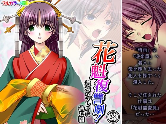 【貧乳】 花魁復讐劇！過激なプレイに潜む闇 3巻 【d_474351】