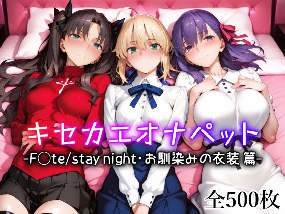 【貧乳】 キセカエオナペット -F◯te stay night・お馴染みの衣装篇- 【d_642694】